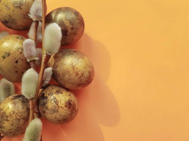 Bıldırcın yumurta Paskalya turuncu bir arka plan üzerinde bir söğüt dalı