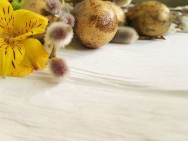 Bıldırcın yumurta Paskalya Beyaz ahşap zemin, çiçek alstroemeria üzerinde bir söğüt dalı
