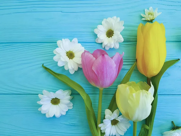 Schöne Chrysanthemen Tulpen Auf Blauem Holzgrund — Stockfoto