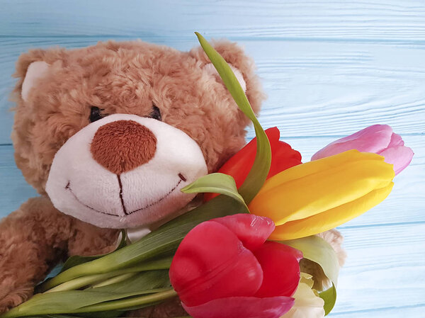 медвежья игрушка с тюльпанами на дереве
