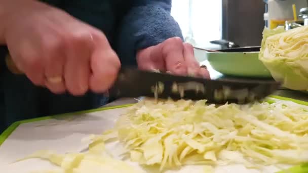 Cavoli Tagliati Mano Cucina — Video Stock