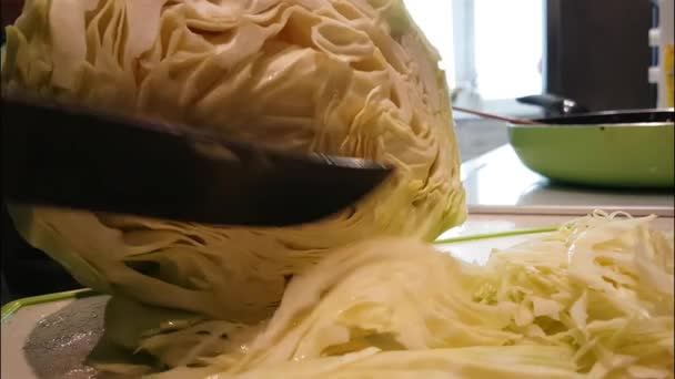 Hände Schneiden Kohl Der Küche — Stockvideo