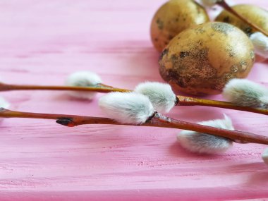 Paskalya yumurta saman willow pembe ahşap arka plan üzerinde