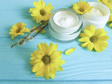 Willow, kozmetik krem sarı çiçek ahşap bahar arka plan mavi.