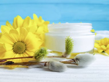 Willow, kozmetik krem sarı çiçek ahşap bahar arka plan mavi.