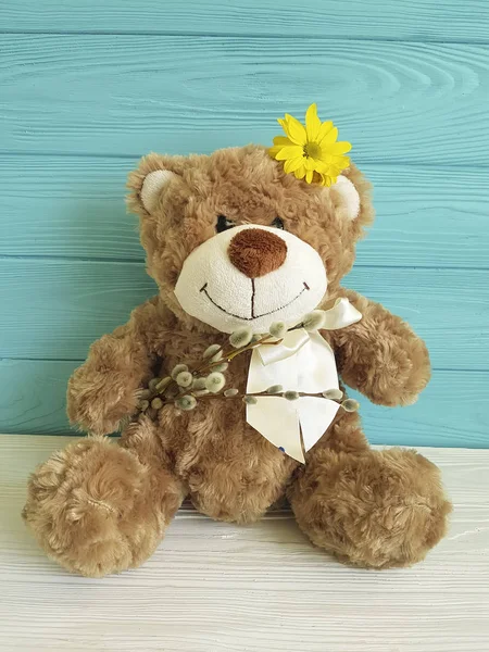 Ведмідь Іграшка Дерев Яний Фон Квітка Верби Весна — стокове фото