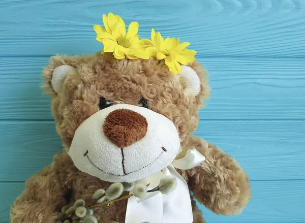 Bear Toy Wooden Background Flower Willow Spring — Stock Photo, Image