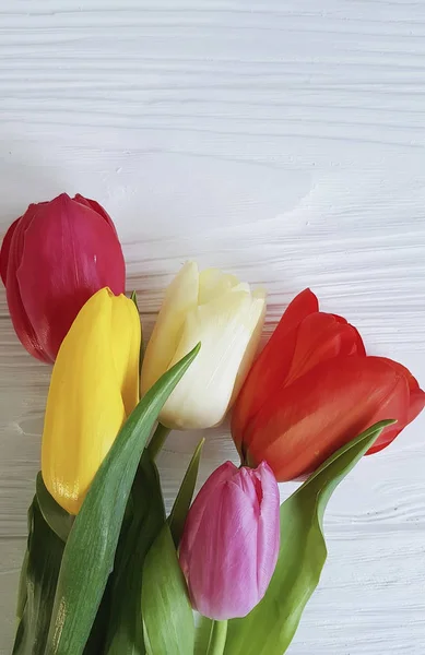 Schöner Strauß Tulpen Auf Weißem Holz — Stockfoto