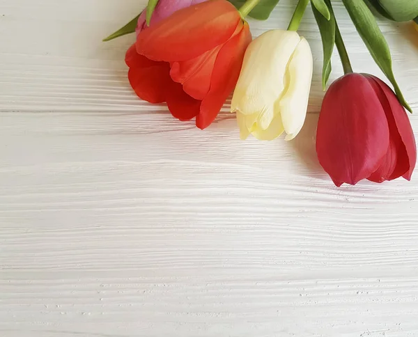 Hermoso Ramo Tulipanes Madera Blanca — Foto de Stock