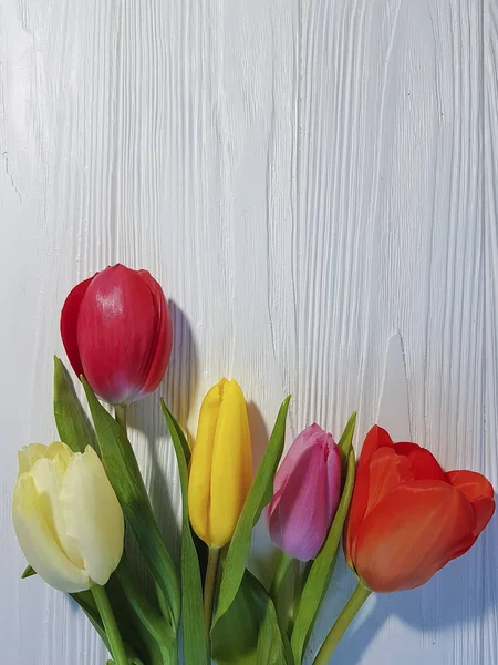 Hermoso Ramo Tulipanes Madera Blanca —  Fotos de Stock