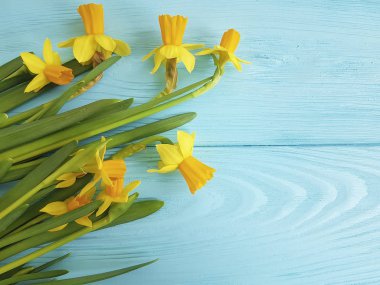 Nergis mavi ahşap arka plan üzerinde