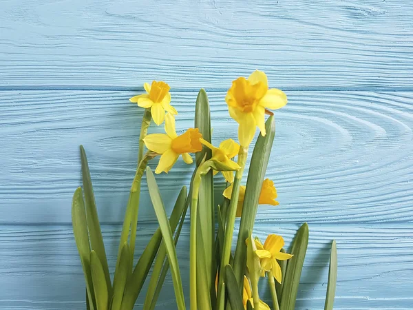 Daffodils Blue Wooden Background — Stock Photo, Image
