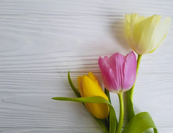 Tulips White Wooden — Stock Photo, Image