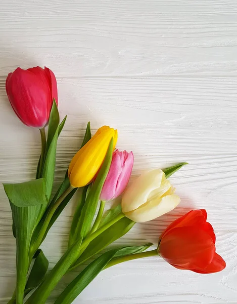 Boeket Tulpen Een Witte Houten Achtergrond — Stockfoto