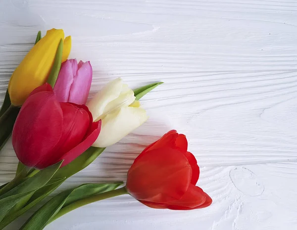 Bouquet Tulipes Sur Fond Bois Blanc — Photo