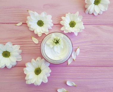 pembe ahşap üzerinde krem beyaz krizantem