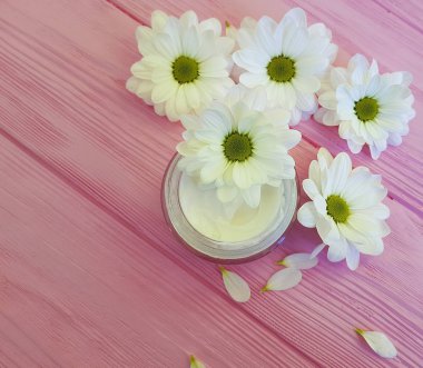 pembe ahşap üzerinde krem beyaz krizantem