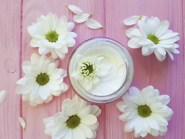 Creme Crisântemo Branco Madeira Rosa — Fotografia de Stock