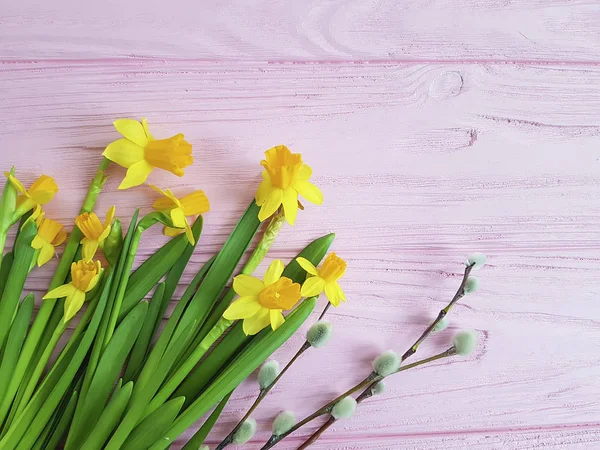 Narzissenweide Auf Einem Rosa Holz — Stockfoto