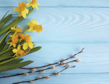 Mavi ahşap üzerinde nergis söğüt