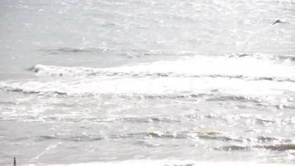 Deniz Dalga Köpüğü Hareket — Stok video