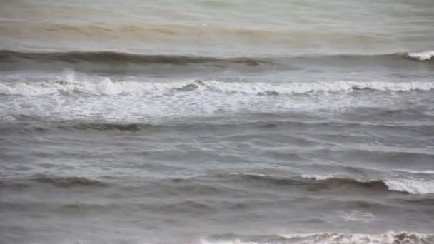 海の波の泡の動き — ストック動画