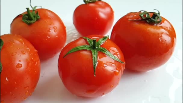 Fresh Tomato Pours Water Slow Motion Shooting — Stock Video