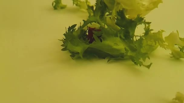 Beyaz Bir Arka Plan Üzerinde Yeşil Salata Damla Yavaş Hareket — Stok video