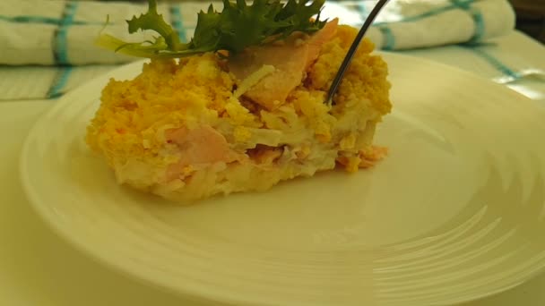マヨネーズの皿にサーモンのサラダ — ストック動画