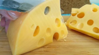 bir bıçak ile kesmek bir tahta parçasına Swiss peynir