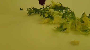 Beyaz arka plan ağır çekim çekim üzerinde yeşil salata düşüyor