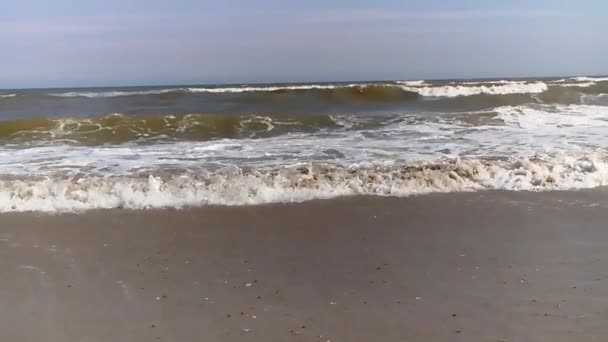 Mare Estate Spiaggia Onda Schiumosa — Video Stock