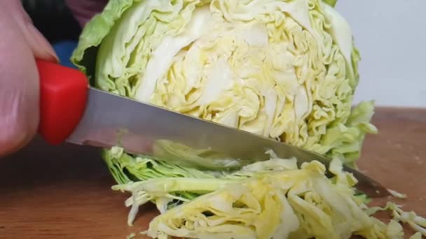 Knife Cuts Cabbage Wooden — Stock Video