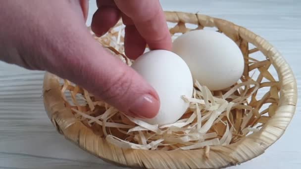 白鸡蛋手拿 — 图库视频影像