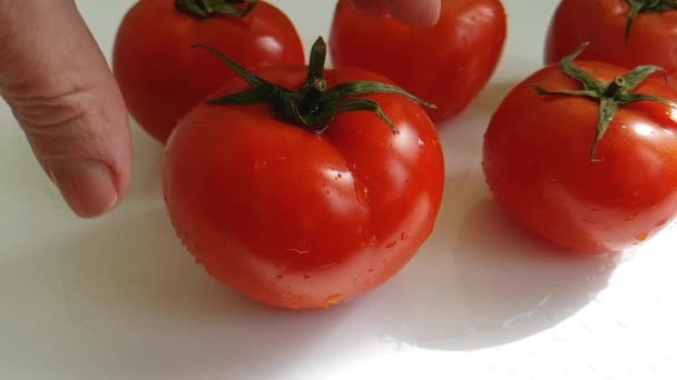 Tomate Rojo Agua Mojada Cámara Lenta Mano — Vídeo de stock