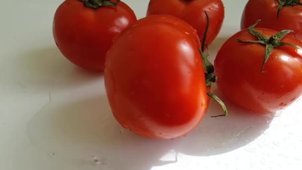 Tomate Mouillée Sur Fond Blanc Gouttes — Video