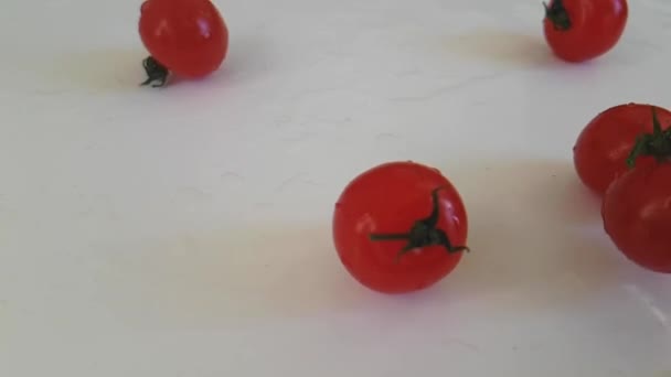 Cherry Tomaten Een Witte Achtergrond Vallende Slowmotion — Stockvideo