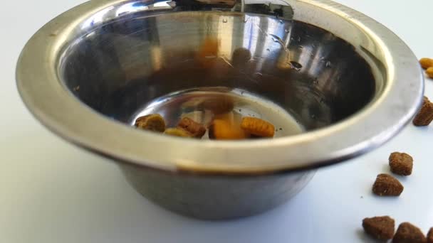 Comida Seca Animais Uma Chapa Ferro Baixas Madeira Branca Tiro — Vídeo de Stock
