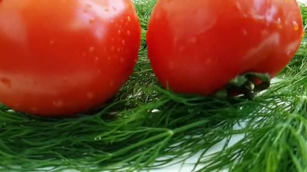 Venkel Rode Tomaat Nat Witte Achtergrond Beweging Druppels Spray Gezonde — Stockvideo