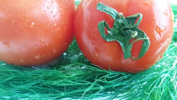 Fenouil Tomate Rouge Mouillé Sur Fond Blanc Mouvement Gouttes Pulvériser — Video
