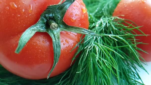 茴香红西红柿湿白色背景运动滴喷雾健康食品 — 图库视频影像