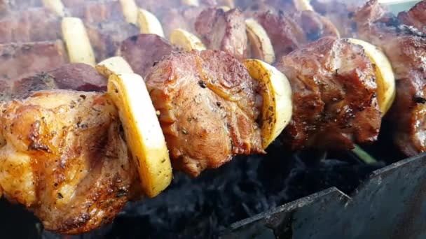 Shish Kebab Rostade Brazier Rök Slowmotion — Stockvideo