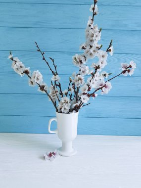 renkli ahşap arka plan üzerinde bir vazoda kiraz çiçeği şube