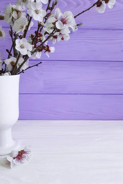 cherry blossom branch in a vase on a colored wooden background