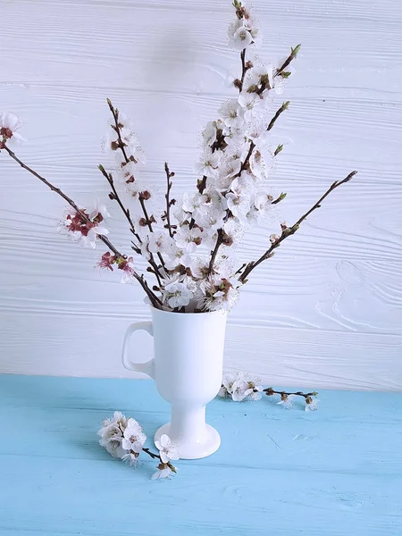 cherry blossom branch in a vase on a colored wooden background, spring,