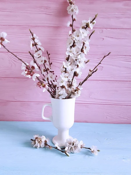 cherry blossom branch in a vase on a colored wooden background, spring,