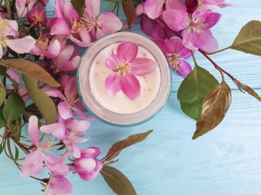 Mavi ahşap, Manolya kozmetik krem pembe çiçekler