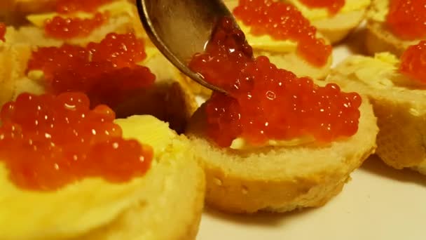 Red caviar spoon seafood, caviar, lunch, prepared — Stock Footage Red Caviar Spoon Seafood Caviar Lunch Prepared Stock Video