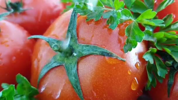 Sabrosos Tomates Rojos Hierbas Frescas Vertidas Con Agua Fría Fresca — Vídeos de Stock