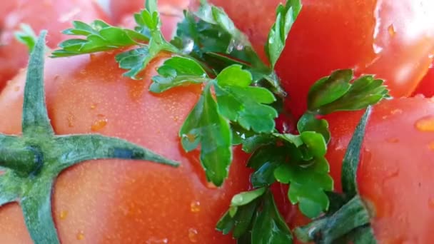 Sabrosos Tomates Rojos Hierbas Frescas Vertidas Con Agua Fría Fresca — Vídeos de Stock